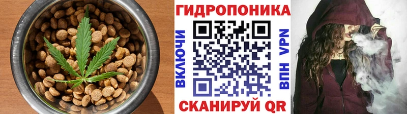где продают наркотики Александров Canna-Cookies конопля