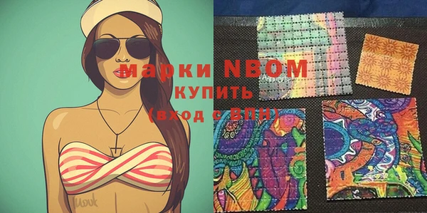мдпв Абаза
