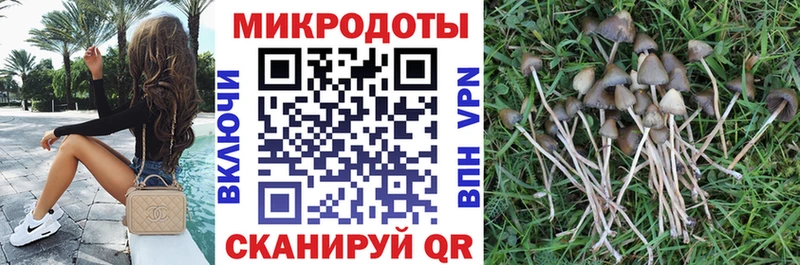 Псилоцибиновые грибы прущие грибы  Александров 